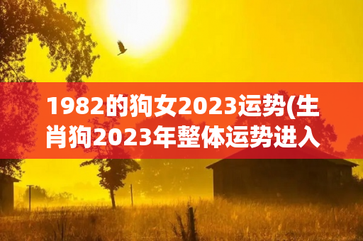 1982的狗女2023运势(生肖狗2023年整体运势进入2023壬寅年)