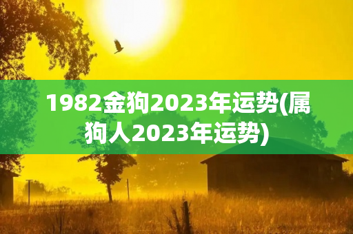 1982金狗2023年运势(属狗人2023年运势)