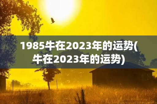 1985牛在2023年的运势(牛在2023年的运势)-第1张图片-星缘配