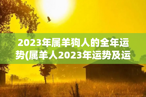 2023年属羊狗人的全年运势(属羊人2023年运势及运程详解)