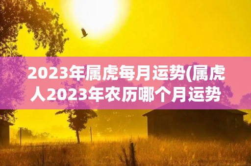 2023年属虎每月运势(属虎人2023年农历哪个月运势最好？)