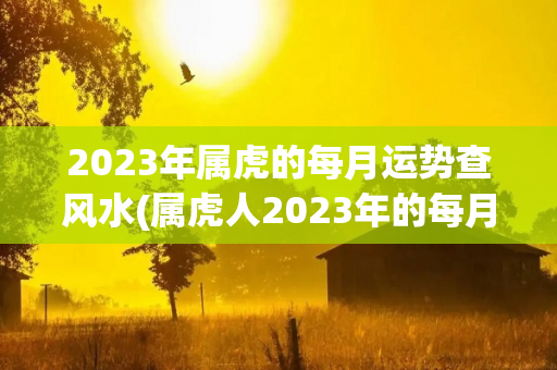 2023年属虎的每月运势查风水(属虎人2023年的每月运势吉运)