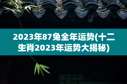 2023年87兔全年运势(十二生肖2023年运势大揭秘)