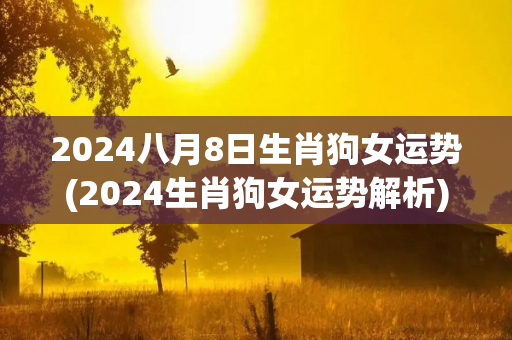 2024八月8日生肖狗女运势(2024生肖狗女运势解析)