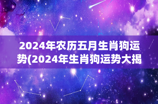 2024年农历五月生肖狗运势(2024年生肖狗运势大揭秘！)