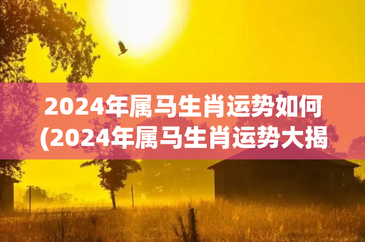 2024年属马生肖运势如何(2024年属马生肖运势大揭秘！)