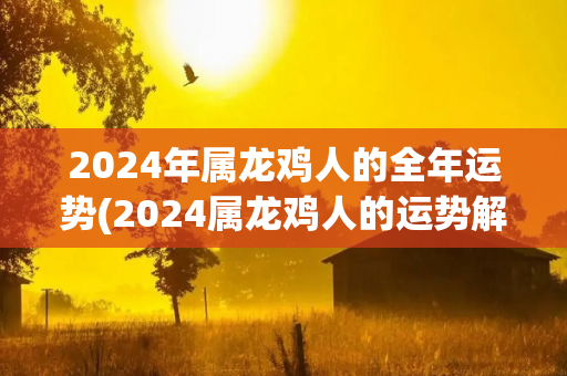 2024年属龙鸡人的全年运势(2024属龙鸡人的运势解析)