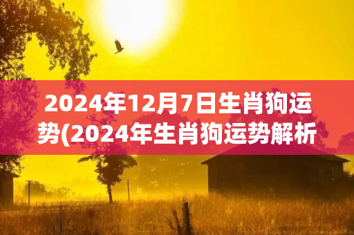 2024年12月7日生肖狗运势(2024年生肖狗运势解析)