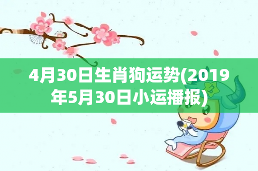 4月30日生肖狗运势(2019年5月30日小运播报)