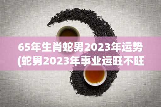 65年生肖蛇男2023年运势(蛇男2023年事业运旺不旺)