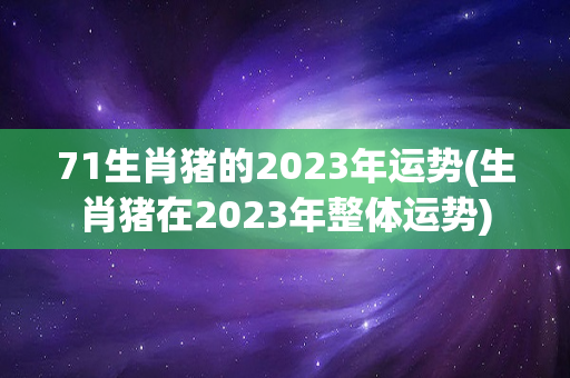 71生肖猪的2023年运势(生肖猪在2023年整体运势)