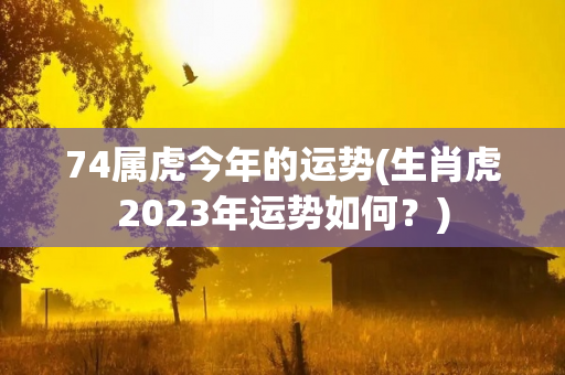 74属虎今年的运势(生肖虎2023年运势如何？)