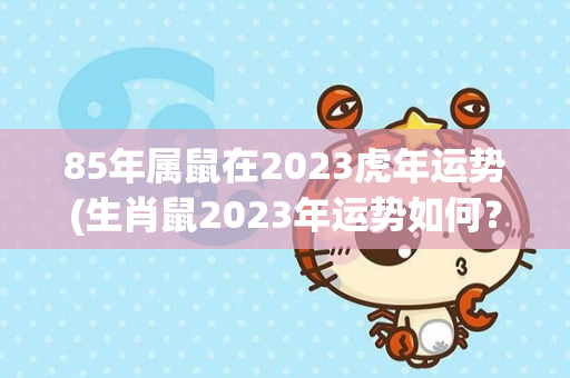 85年属鼠在2023虎年运势(生肖鼠2023年运势如何？)