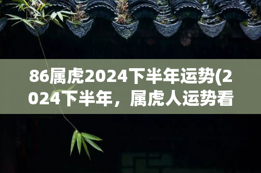86属虎2024下半年运势(2024下半年，属虎人运势看好！)
