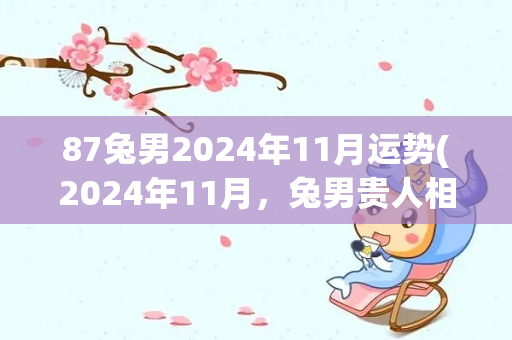 87兔男2024年11月运势(2024年11月，兔男贵人相助，财运亨通)-第1张图片-星缘配