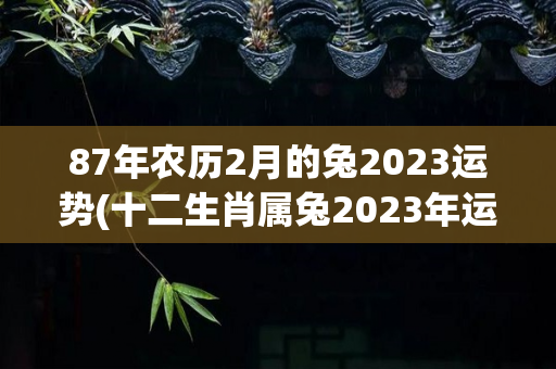 87年农历2月的兔2023运势(十二生肖属兔2023年运势)