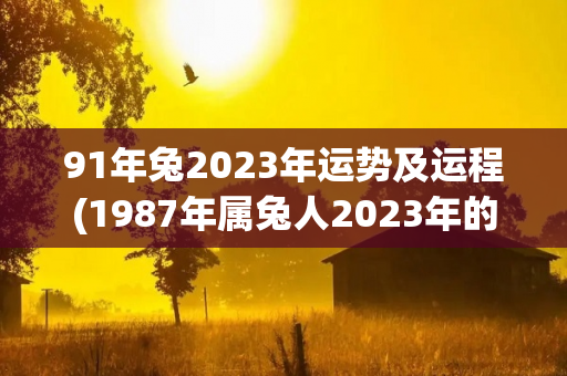 91年兔2023年运势及运程(1987年属兔人2023年的运势)